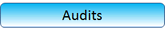 Auditieren von Managementsystemen